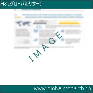 グローバルリサーチ調査レポートのイメージ